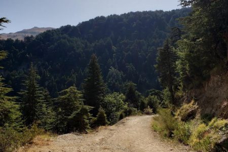 Horsh Ehden Nature Reserve