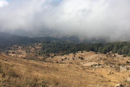 Top of Ehden