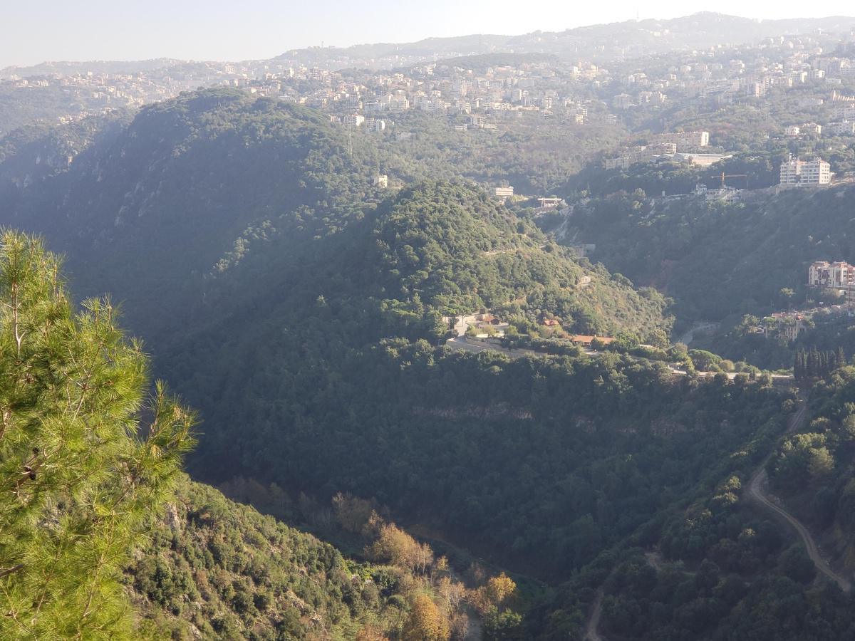 View on road to Jeita