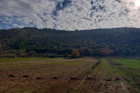 View from Majdal Balhis