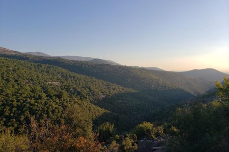 Scenic drive Kfar Falous