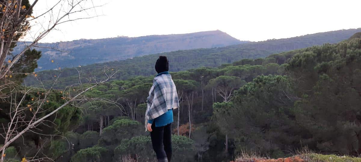 Bkassine Pine Forest