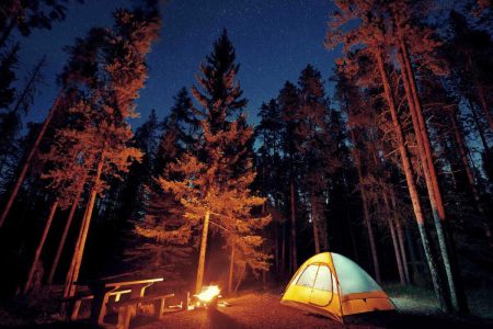 Authentic camping experience-Cedars forest