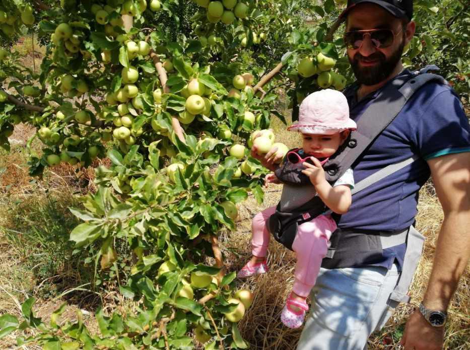 Fruit picking & Beehive tour – Akoura