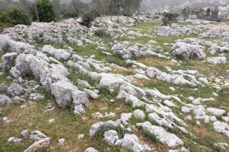 Rocky Plain Bent Jbeil