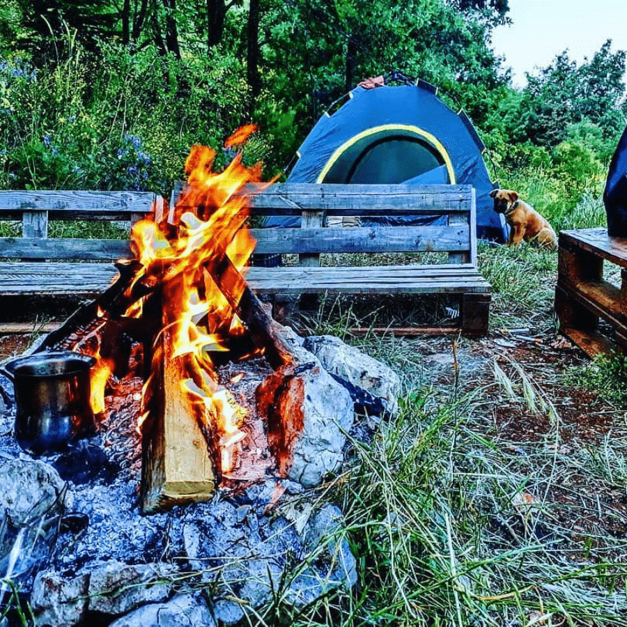 Authentic camping experience-Cedars forest