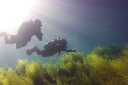 Diving in Kaslik