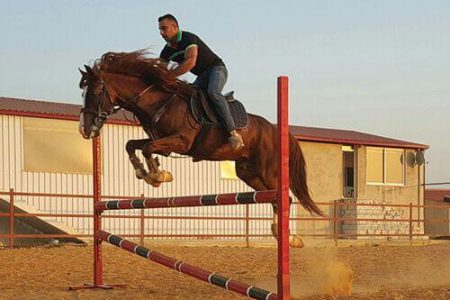 Cavallino Horse Riding Club – Jezzine