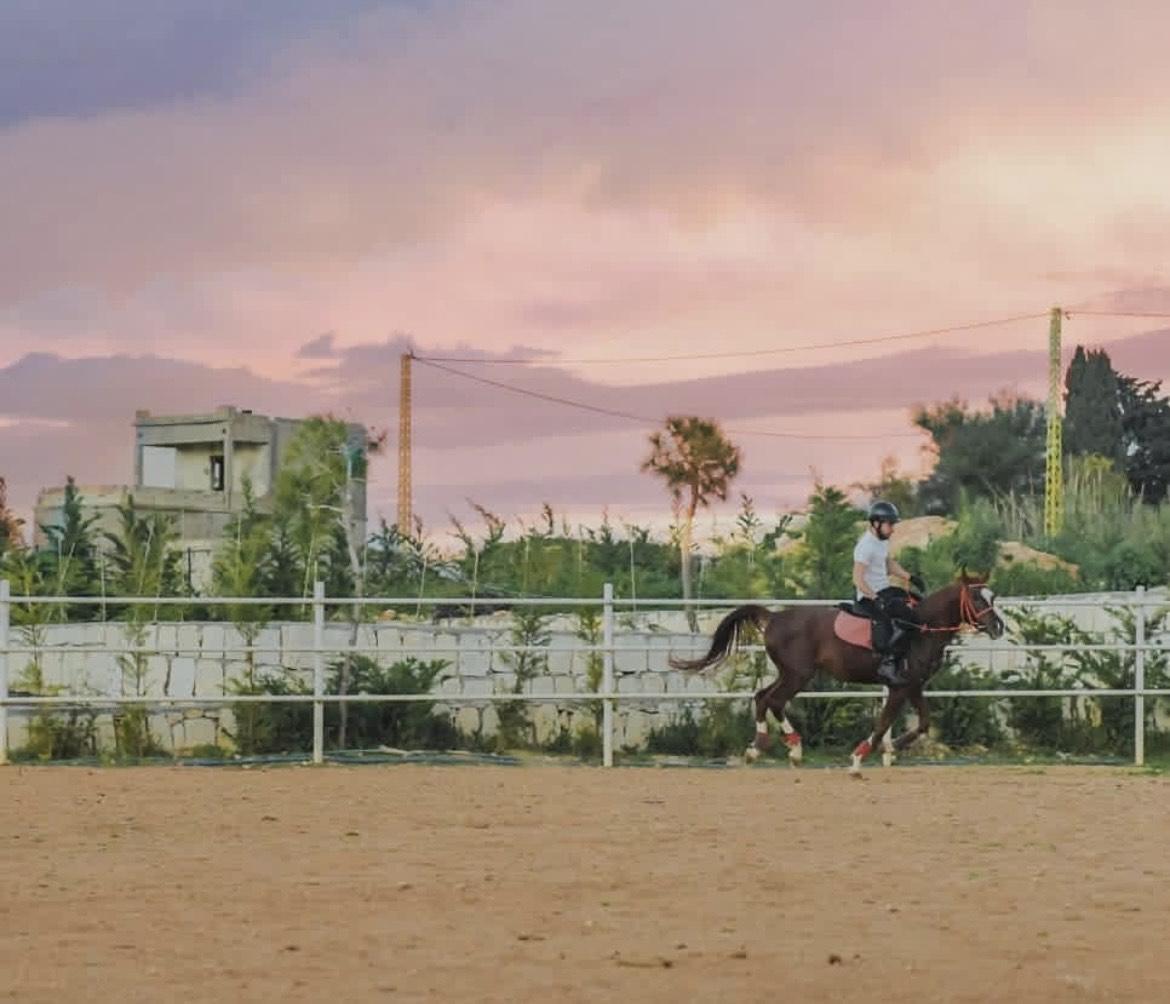 Al Jamil Equestrian club