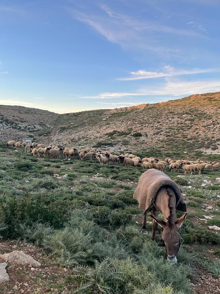 Full Moonlight Hike – Kfardebian