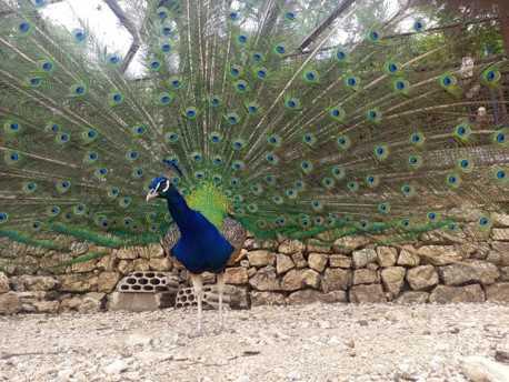 Byblos Nature in Bmehrine