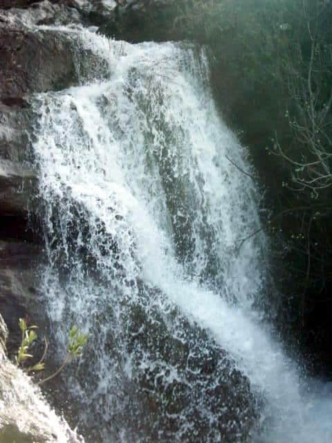 Jabal al Rihane Biosphere Reserve