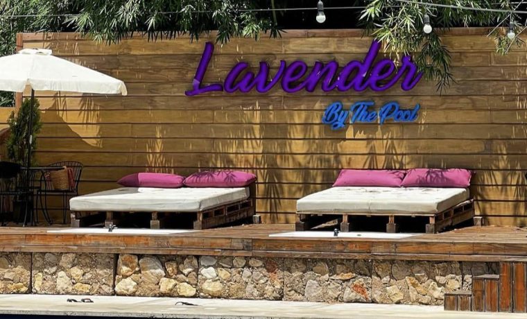 Lavender by the Pool