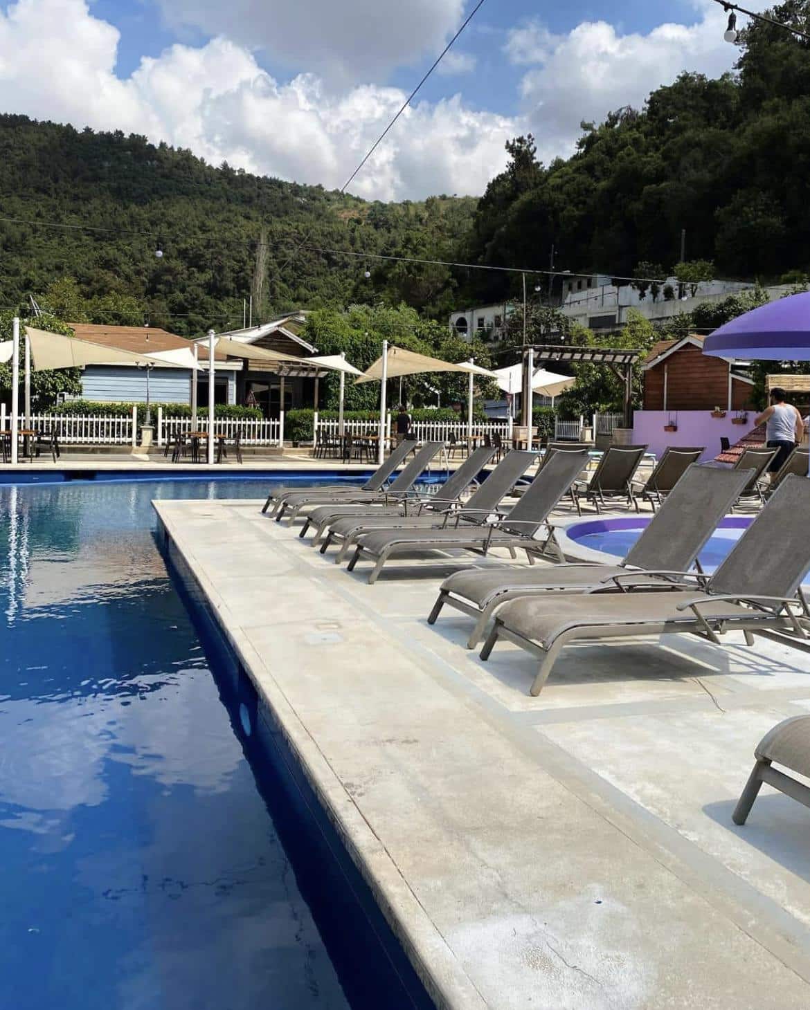 Lavender by the Pool