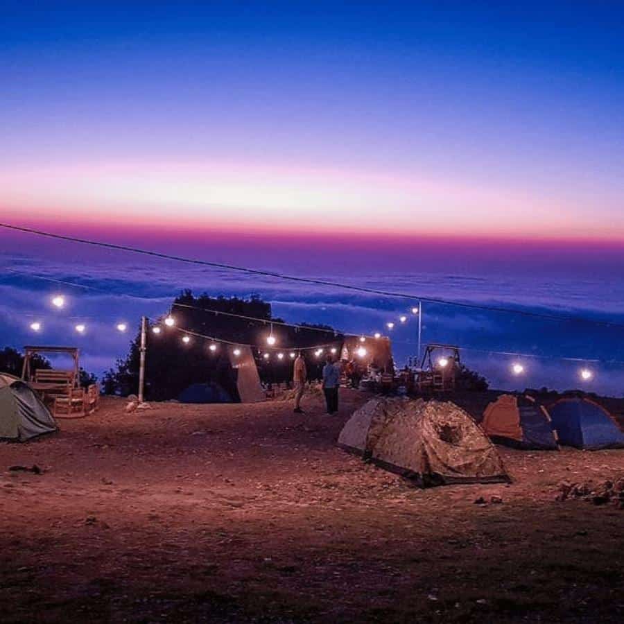 Safi Camp