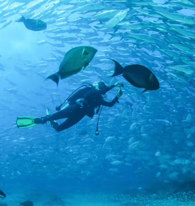 Diving in Kaslik