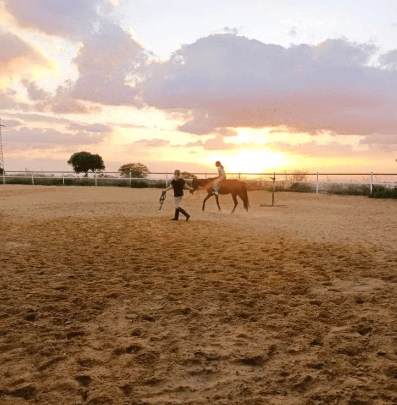 Cavallino Horse Riding Club – Jezzine