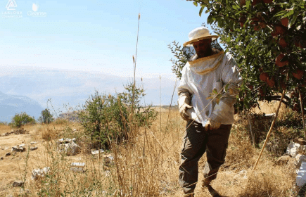 Fruit picking & Beehive tour – Akoura