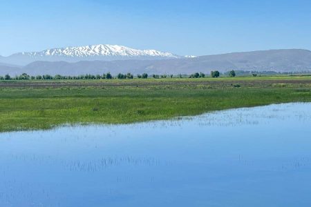 Ammiq Wetlands