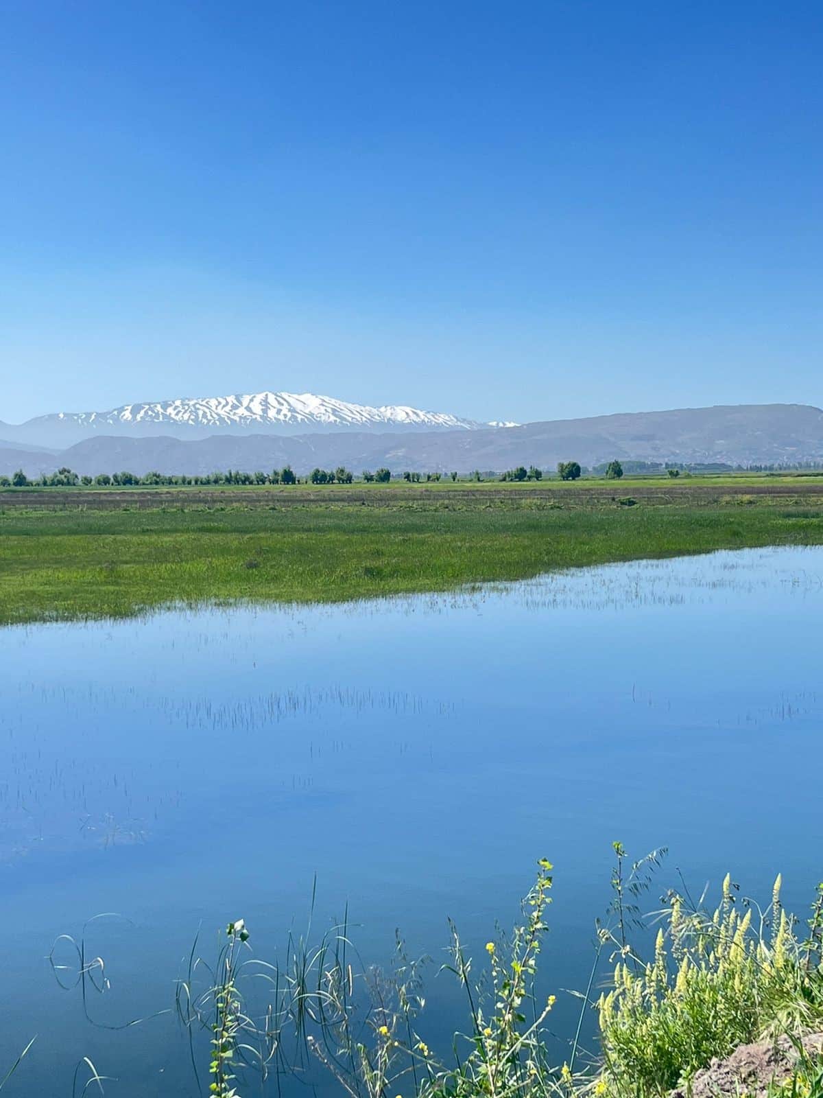 Ammiq Wetlands