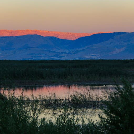 Ammiq Wetlands