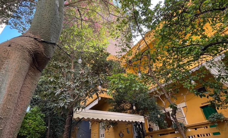 Cafe Younes – Hamra