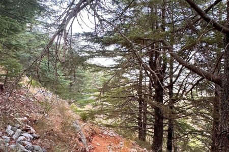 Aquafina Trail – Al Shouf Cedar Nature Reserve