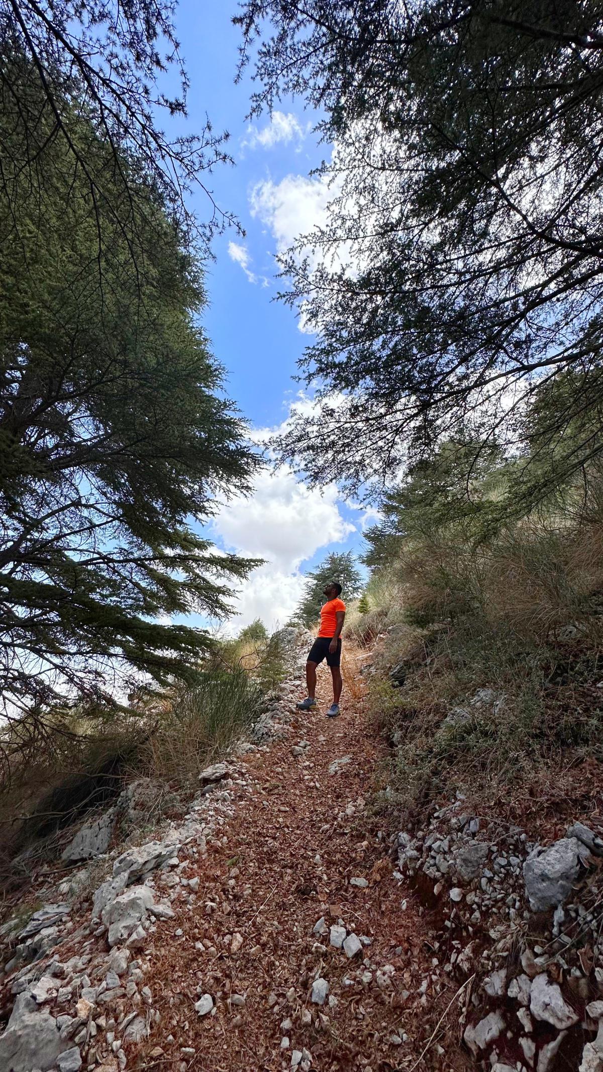 Aquafina Trail – Al Shouf Cedar Nature Reserve