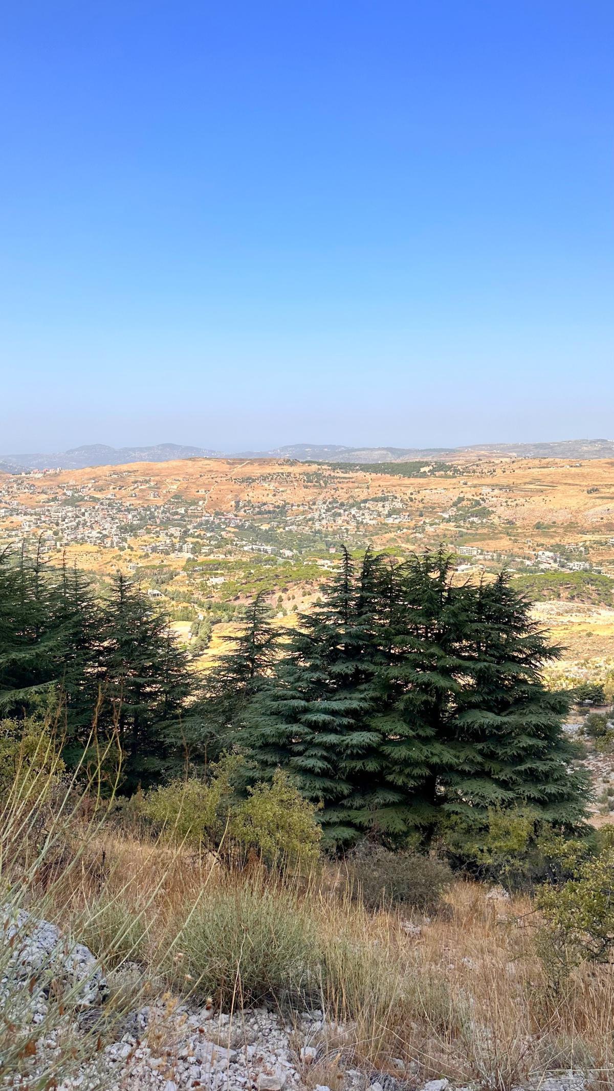 Aquafina Trail – Al Shouf Cedar Nature Reserve