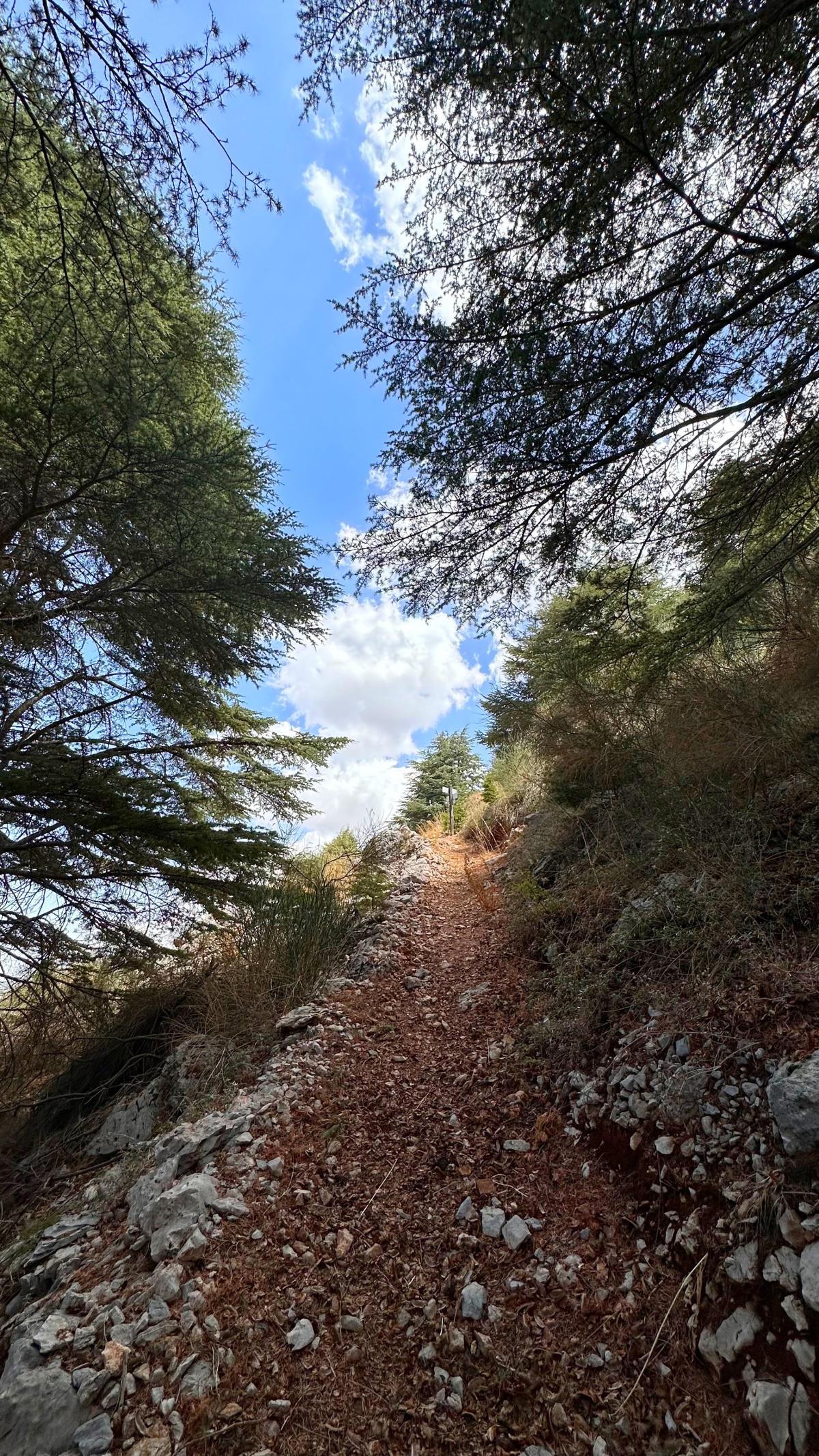 Aquafina Trail – Al Shouf Cedar Nature Reserve