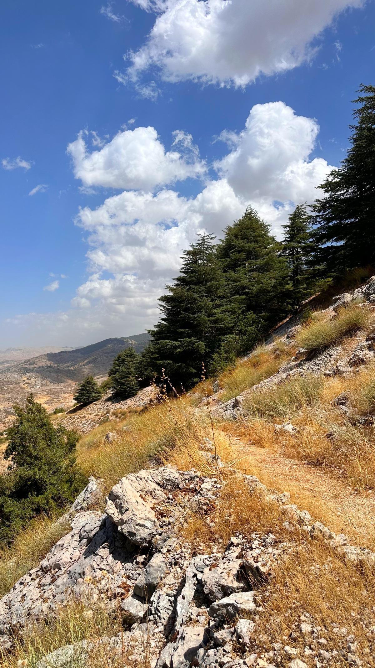 Aquafina Trail – Al Shouf Cedar Nature Reserve