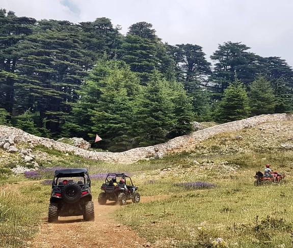 ATV in Cedars of God Reserve