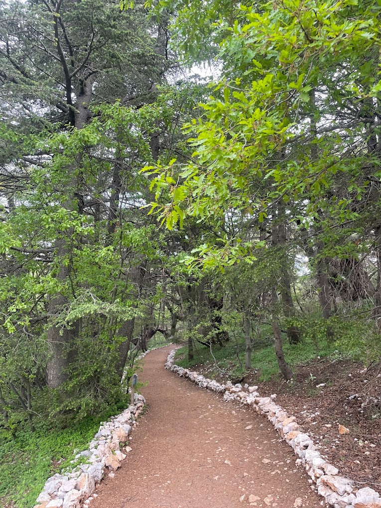 Chouf Cedars Reserve 