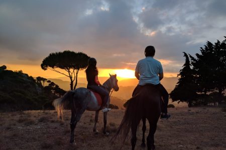 Cedars Trail Riding