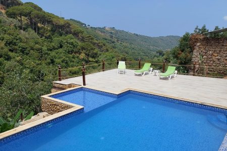 Mountain Pool – Aramoun