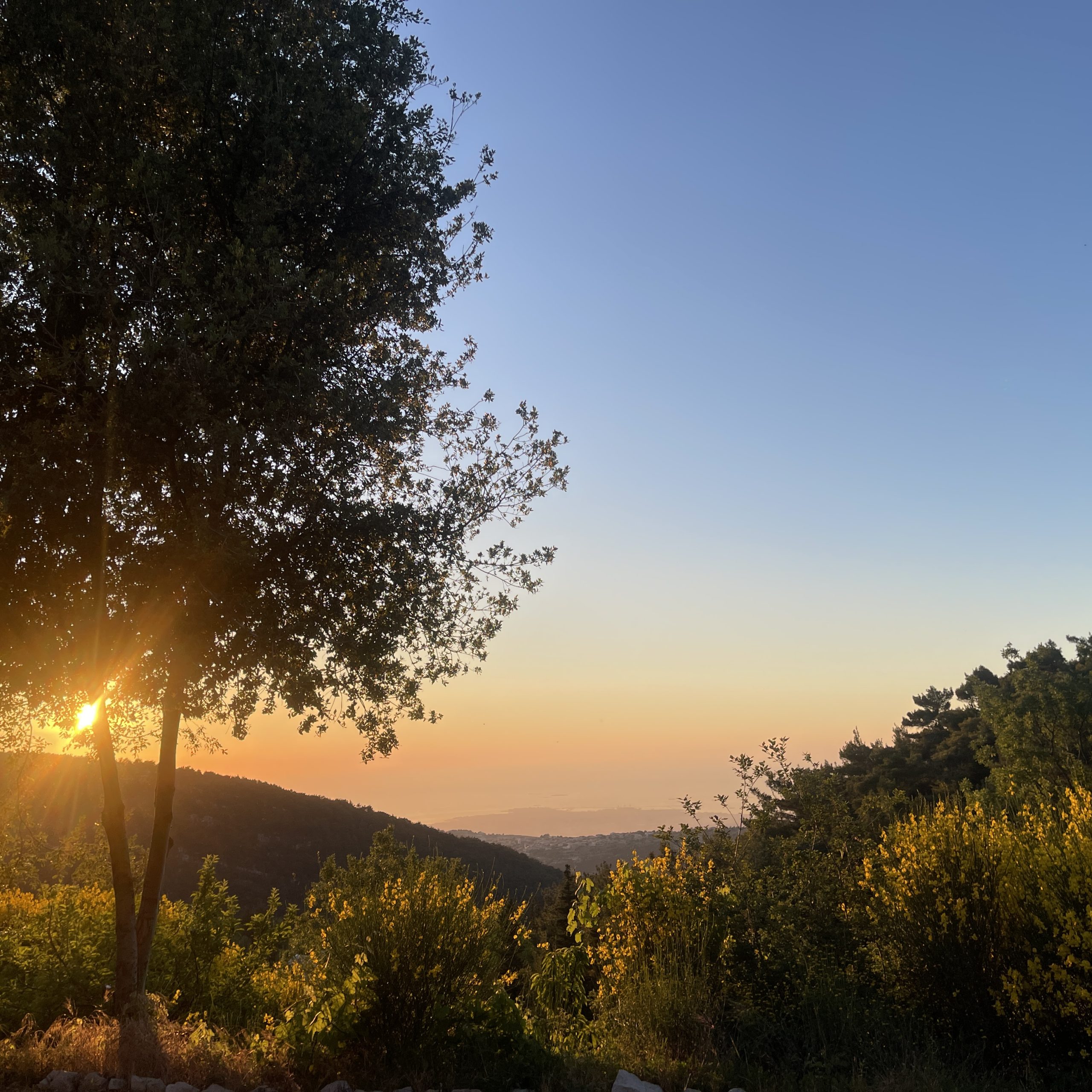 Wooden Bungalow – Ehden