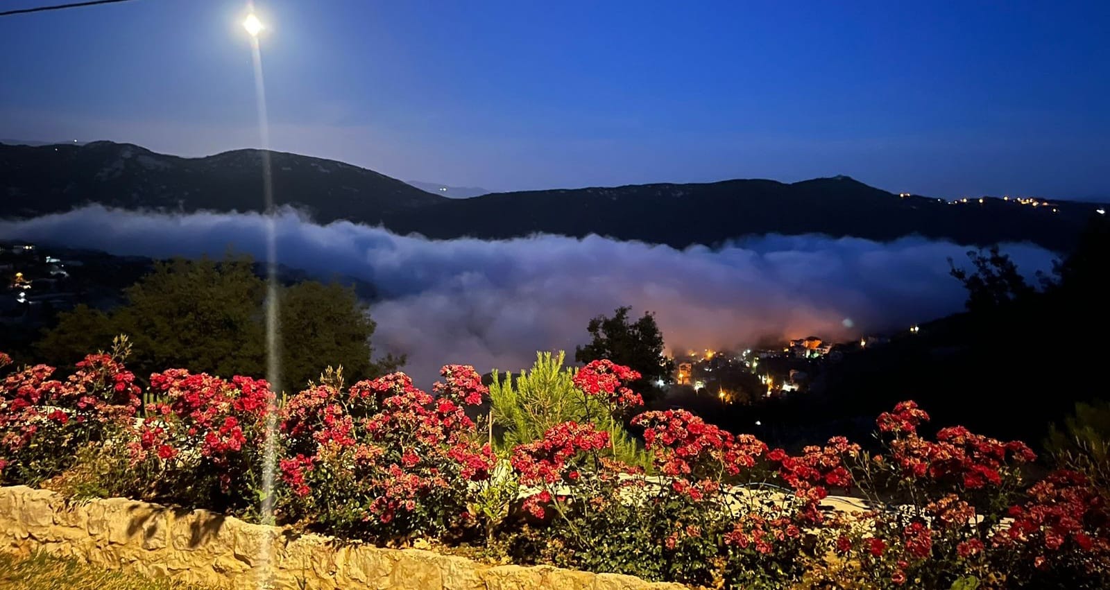 شاليه مع مسبح – لويزة,جنوب لبنان